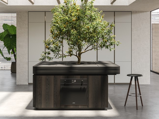 L'albero al centro, dettaglio della cucina Oasi